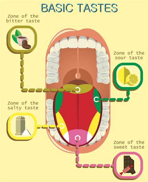 Tongue Flavor Map