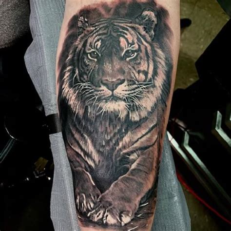 Thiết kế hình xăm dương cung tên trên sau cổ phụ nữ. Hình Xăm Hổ Có Cánh Đẹp Nhất ️ Tattoo Con Cọp Ngầu