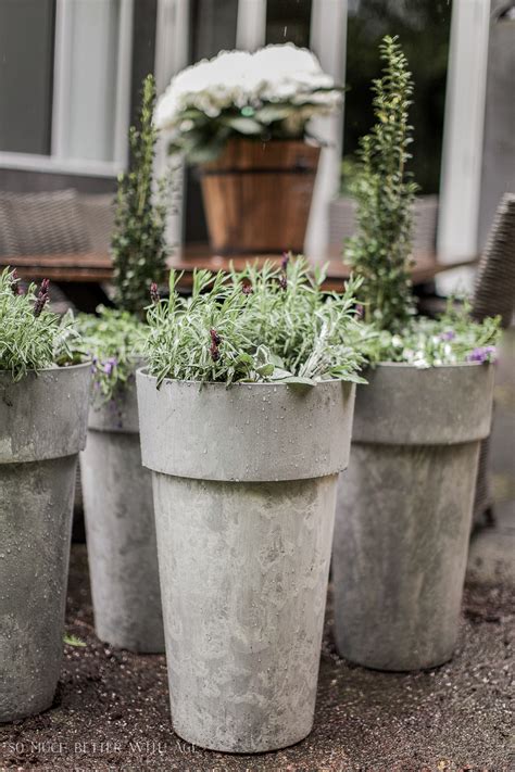 3200 x 3200 jpeg 1163 кб. The Best Tip for Filling Large Outdoor Planters | So Much Better With Age