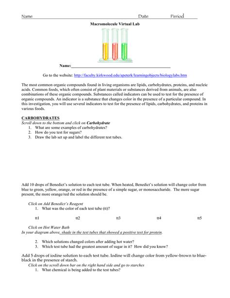 Mitosis worksheet answers polskidzien from mitosis worksheet answers, source: Macromolecules Virtual Lab Answer Key - Riz Books