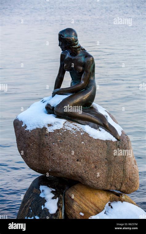 The Little Mermaid Sculpture By Edvard Eriksen In Winter Copenhagen
