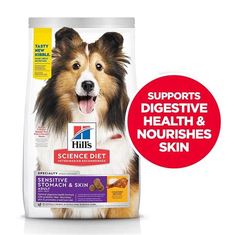 The right blend of ingredients is incredibly important for your dog's digestive health. 7 Best Dog Food For Sensitive Stomach For 2020 (Reviews ...