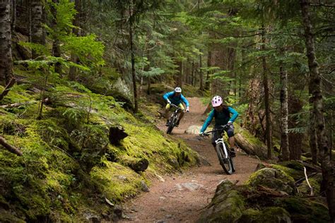 A Beginners Guide To Mountain Biking