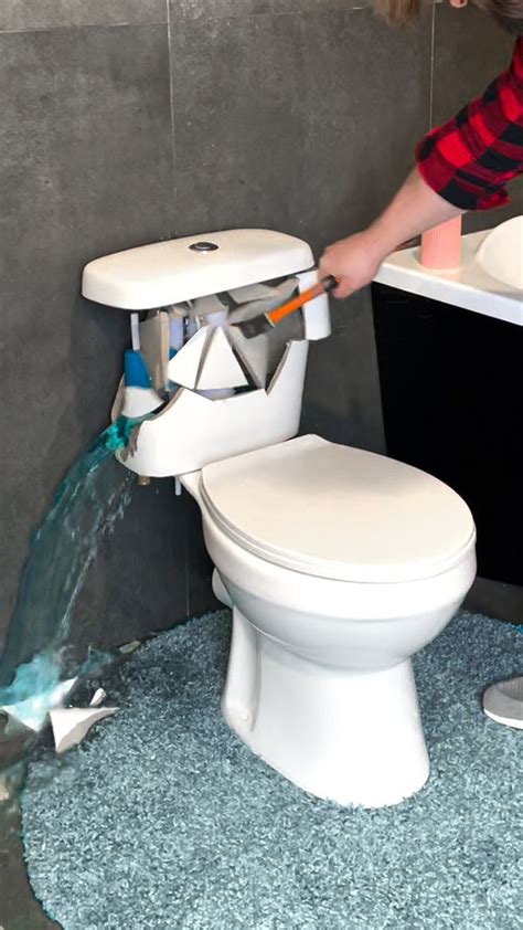 Transform Your Toilet Fishes Will Love This Aquarium Fish Toilet Aquarium Transform