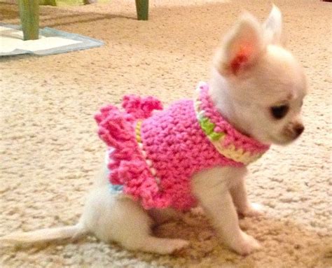 Clothing features sparkling red, white and blue crystals on a lightweight cotton dress. Awwww, such a Chihuahua cutie in a cutie pink frilly top ...