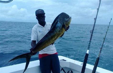 Pesca De Altura En Punta Cana Weiler Caribbean Sea