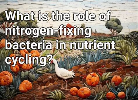 What Is The Role Of Nitrogen Fixing Bacteria In Nutrient Cycling