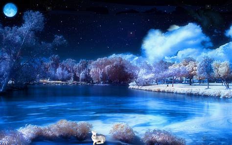 Download Winter S Night Hd Desktop Wallpaper By Kaylakim Night