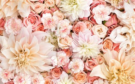 pastel flower wallpapers top free pastel flower backgrounds wallpaperaccess