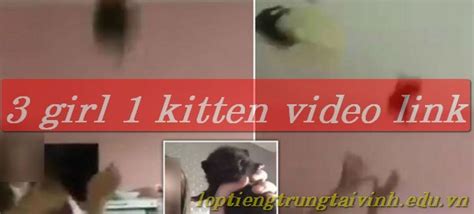 3 Girl 1 Kitten Video Link Trung Tâm Tiếng Trung Smile