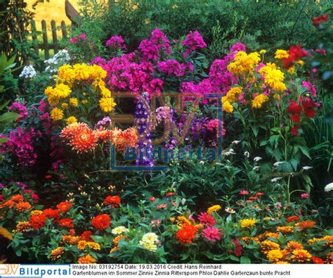 We did not find results for: Details zu #0003192754 - Gartenblumen im Sommer - DJV ...