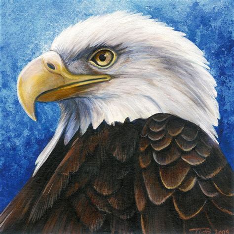 Eagle Painting Bald Eagle Portrait By Dragonosx Traditional Art