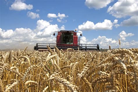 Final Kansas Wheat Harvest Report Day 12