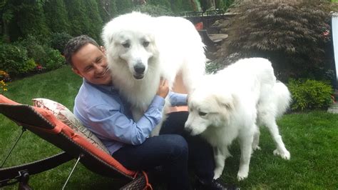 Brian Kilmeade On Twitter Larger Than Life Dogs Come With Larger Than