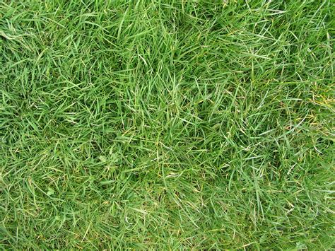 High Qualitygrass Textures Grass Textures High Quality