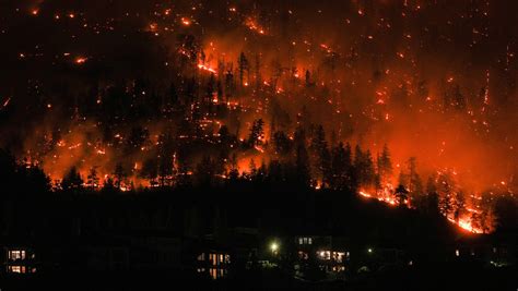 Maui Wildfire 2025 - Roxy Wendye