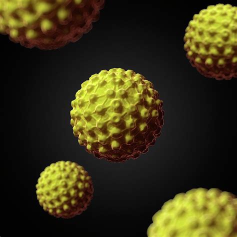 Herpes Virus Photograph By Scieproscience Photo Library Fine Art America