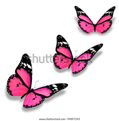 Three Pink Butterflies Isolated On White Stock Illustration 94897243