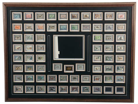 Federal Duck Stamp Display Frames