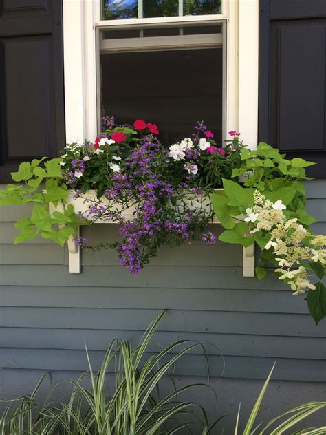 You can use almost any kind of plant when planting window boxes. Late summer | Flower arrangements, Window box, Window boxes