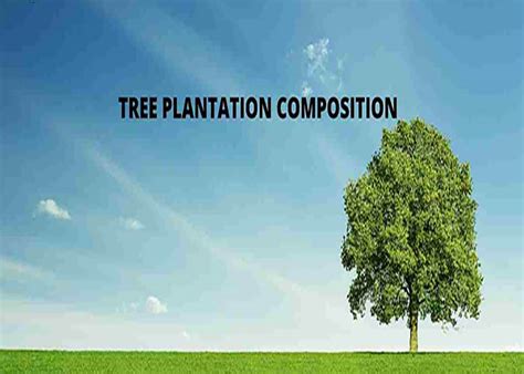 Essay On Importance Of Tree Plantation Essay On Tree Plantation