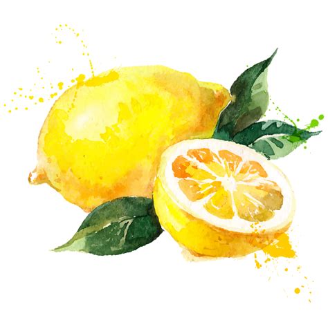 Pin By Modorova Svetlana On Фрукты Lemon Watercolor Watercolor Fruit