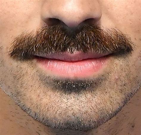 Pin By Cmb On Stache Obsession Mustache Styles Mustache Men Hair And Beard Styles