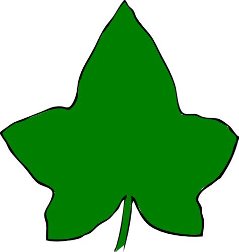 Ivy Leaf Big Green Clip Art At Vector Clip Art Online