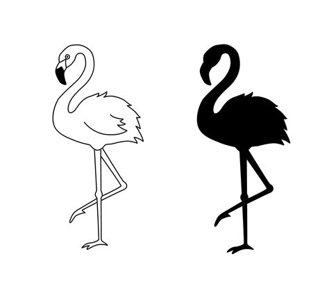Vector Illustration Of Flamingo In Outline Style Is Isolated On White Background Black