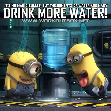 Minion Drinking Quotes Quotesgram