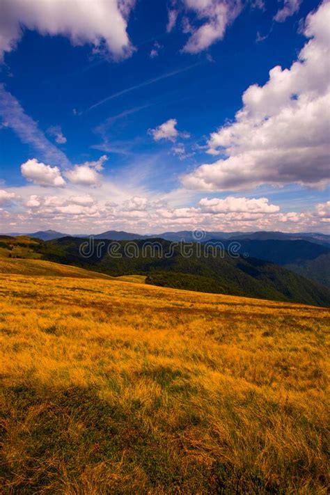 Amazing Summer Landscape Stunning Nature Scenery Ukraine Stock Photo