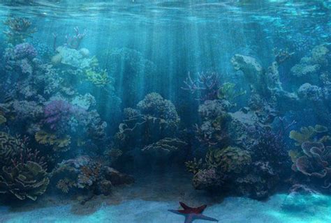 Fish Tank Background Printable 50 Best Aquarium Backgrounds Aquarium