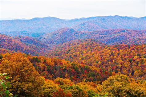 Fall Brilliance In Asheville North Carolina Blue Ridge Parkway North