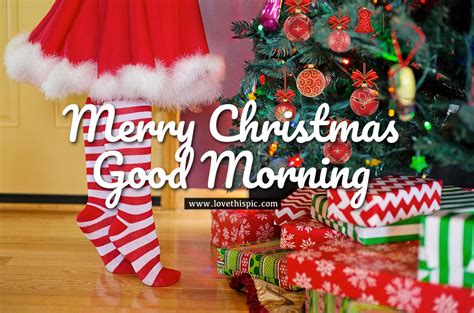 Christmas Tree Merry Christmas Good Morning Image Pictures Photos
