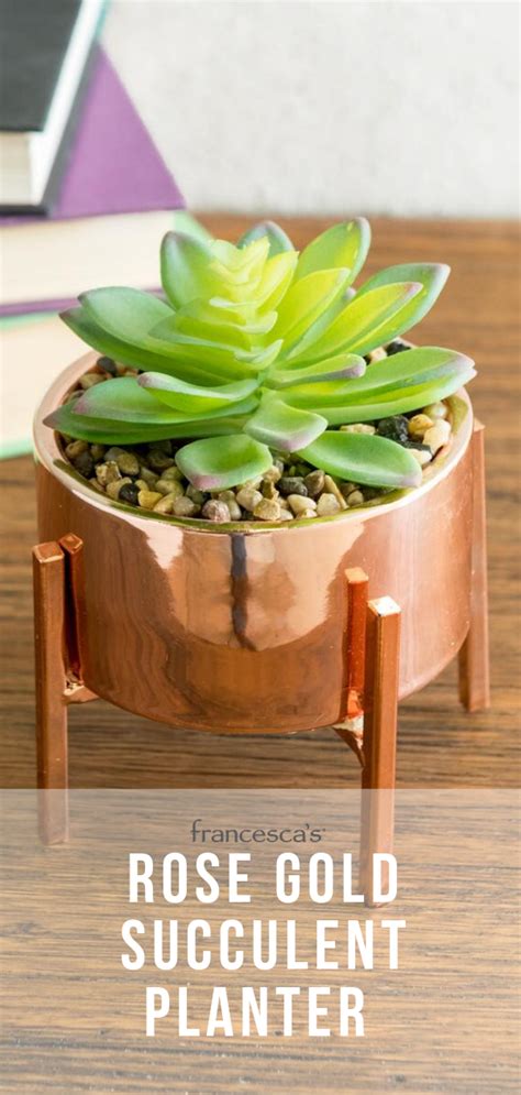 Rose Gold Succulent Planter Succulent Planter Plant Decor Plant Pot