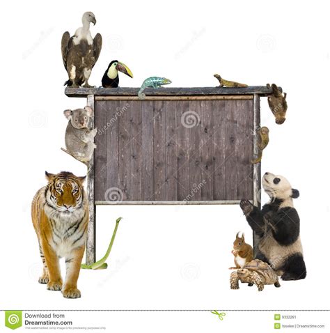 Group Of Wild Animals Around A Blank Wooden Sign Stock