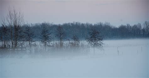 Bakgrundsbilder Landskap Träd Natur Snö Vinter Dimma Morgon