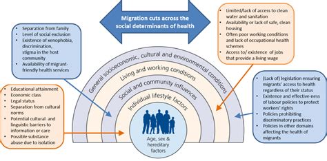 Social Determinants Of Migrant Health International Organization For