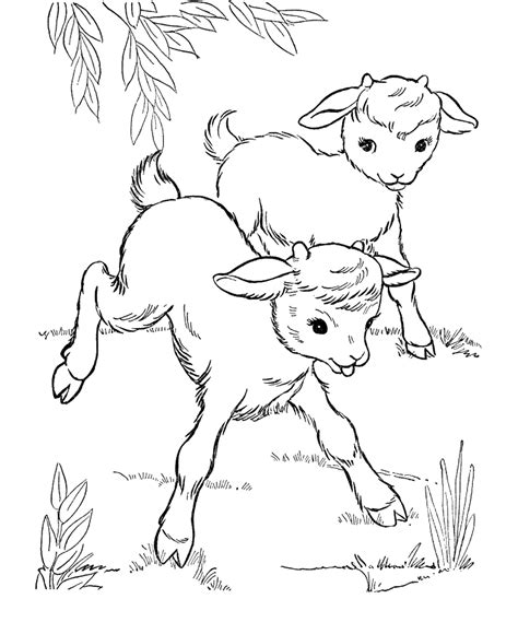 Goat Coloring Pages