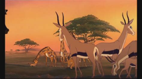 Favourite Animal To Appear In The Lion King 2 Le Roi Lion 2 L