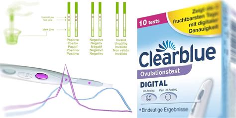 Der ovulationstest von cyclotest zeigt positiv ab 25 miu/ml an. Ovulationstest: Der ultimative Guide zu Anwendung und Deutung