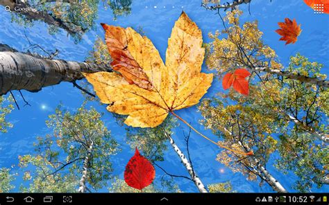 Free Falling Leaves Live Wallpaper