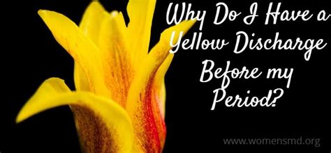 Yellow Discharge Before Period Causes Meaning And Remedies — Brighter Press