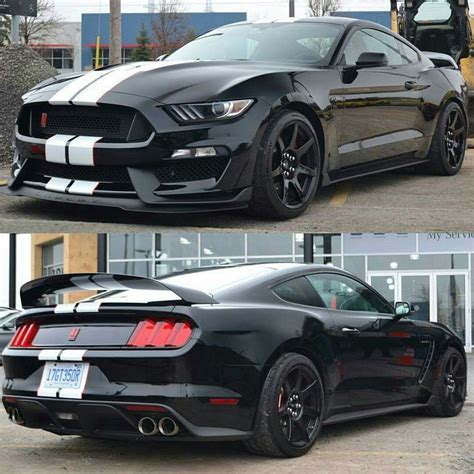 2017 Ford Mustang Shelby Gt 350r Boss Saleen And Shelby Mustangs