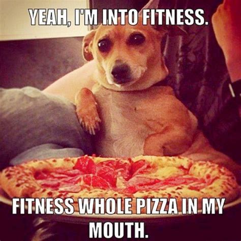 15 Hilarious Dog Memes To Brighten Up Your Day Doyou