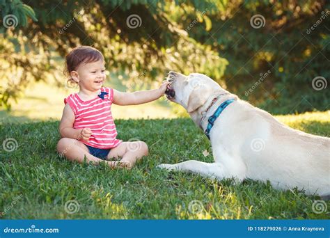 Baby Girl Sitting With Dog In Park Outside Stock Photo Image Of