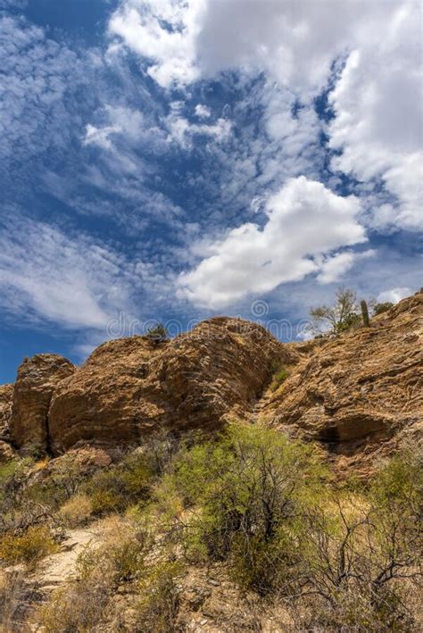 Sonoran Desert Landscape Stock Image Image Of American 12861655