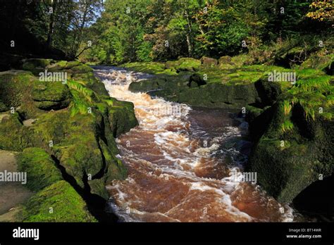 River Wharfe At The Strid Near Bolton Abbey Yorkshire Dales National