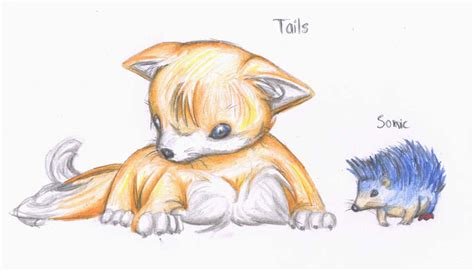 Sonic And Tails Real Animals By Sv Spinny On Deviantart