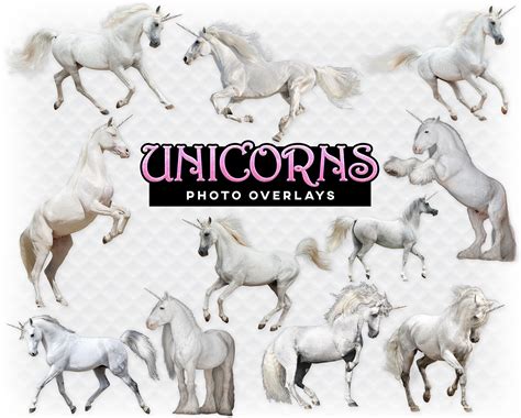 Unicorns Overlay Photoshop Overlays For Photographers Etsy